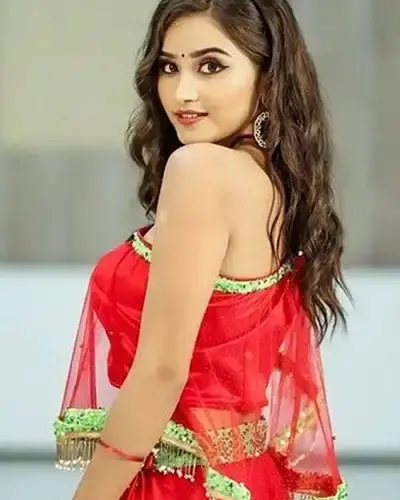 Escort In Nathdwara